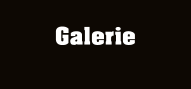 Galerie